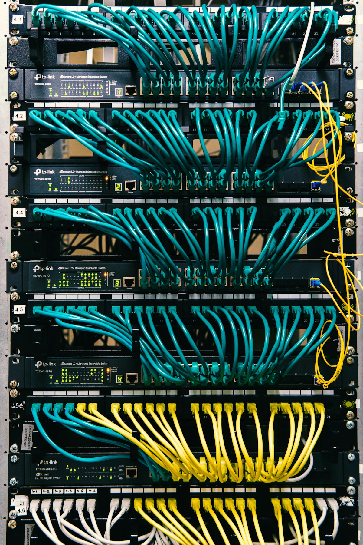 Organised Ethernet cables connected to a network switch